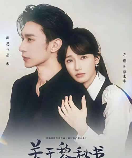 关于黎秘书的一切（60集全）沉思＆方瑾-初遇资源网