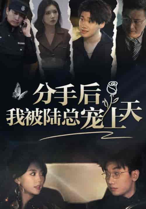 分手后，我被陆总宠上天（76集）马乐婕-初遇资源网