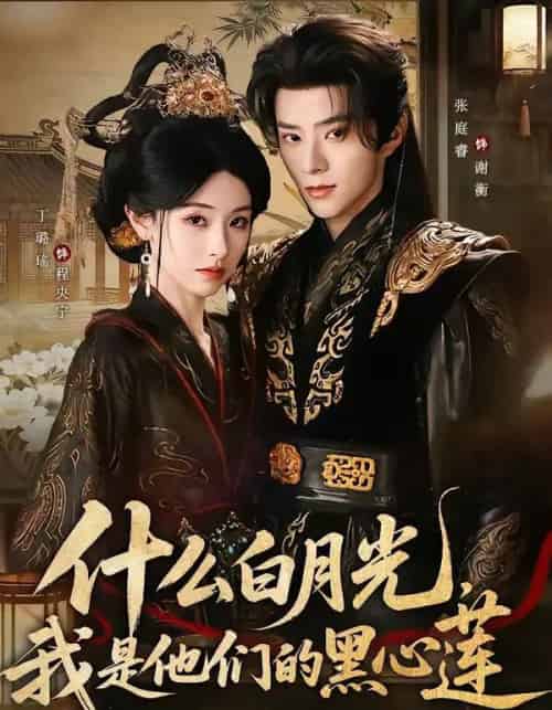 什么白月光，我是他们的黑心莲（79集全）张庭睿＆丁璐瑶-初遇资源网