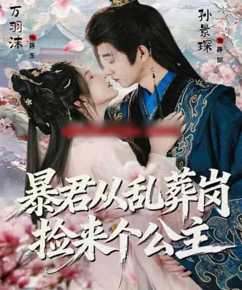 暴君从乱葬岗捡来个公主（61集全）万羽沫＆孙景琛-初遇资源网