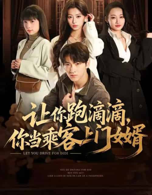 让你跑滴滴，你当乘客上门女婿（71集全）孙文博＆魏奕菲-初遇资源网