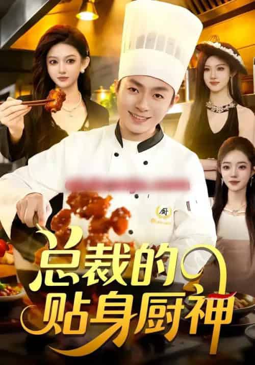 总裁的贴身厨神（94集全）陈禺宏＆李秉润-初遇资源网