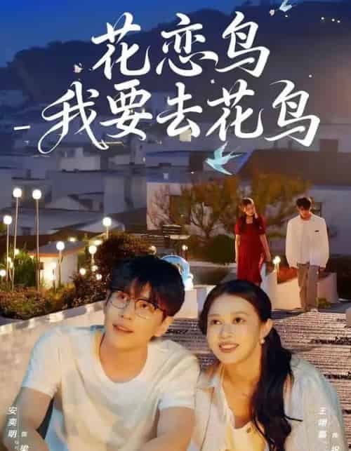 花恋鸟我要去花鸟（60集全）安奕明＆王翊嘉 - 夸克短剧