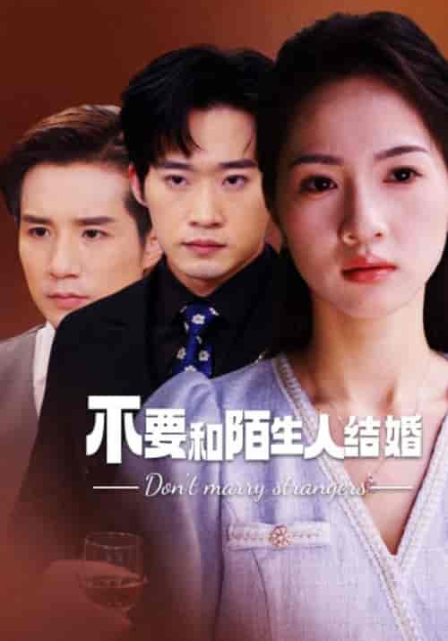 不要和陌生人结婚（90集）-初遇资源网