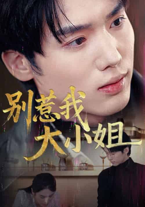 别惹我大小姐（40集全）-初遇资源网