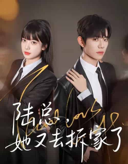 陆总，她又去拆家了（80集全）白贯羽＆吴飞雪-初遇资源网