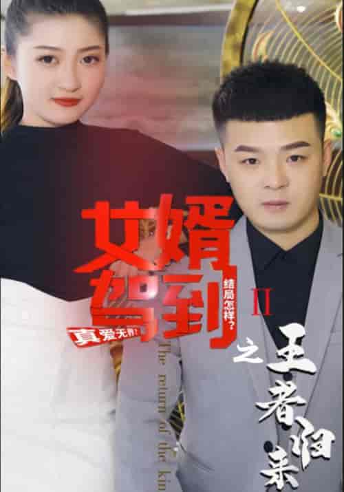 女婿驾到之王者归来(40集全)李佳越&杨琦-初遇资源网