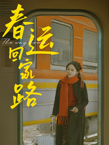 春运回家路（32集）-初遇资源网