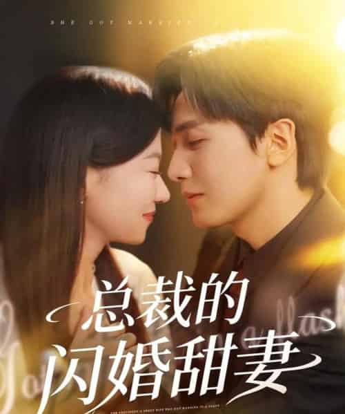 总裁的闪婚甜妻(61集全)胡家豪&何田田-初遇资源网