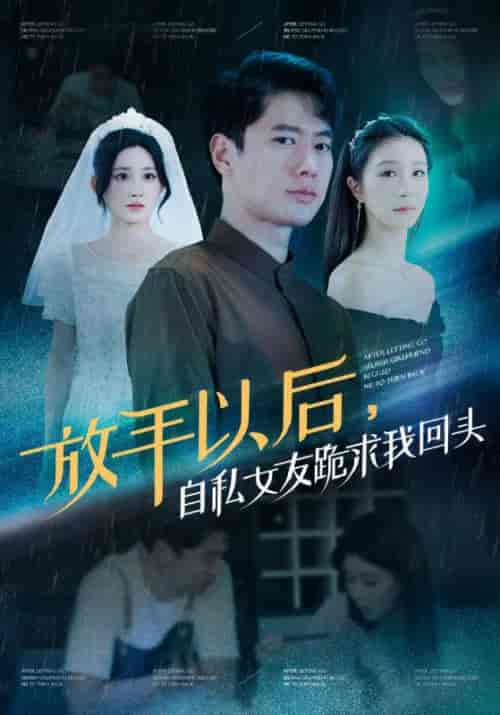 放手以后,自私女友跪求我回头(59集全)陈凡&王琳-初遇资源网