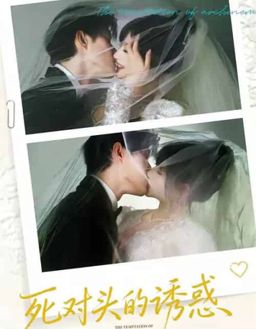 死对头的诱惑(77集全)谢熠柯&刘浔-初遇资源网