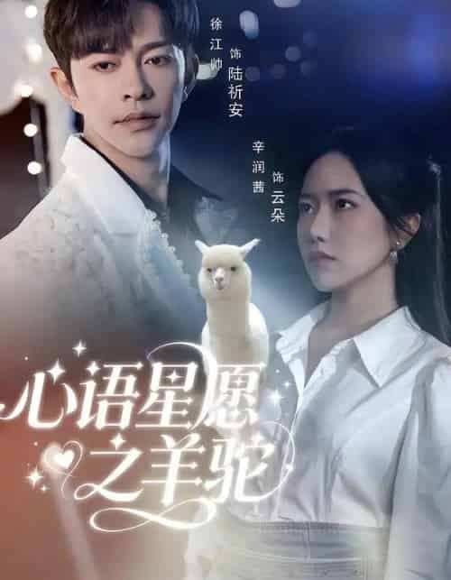 心语星愿之羊驼（60集全）徐江帅＆辛润茜-初遇资源网