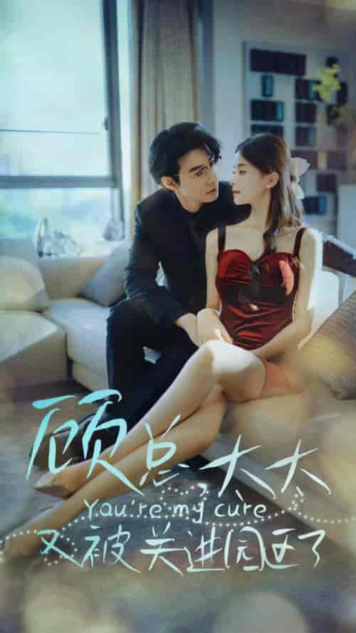 顾总，太太又被关进园区了（73集）-初遇资源网