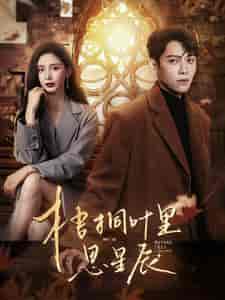 梧桐叶里思星辰（100集）-初遇资源网