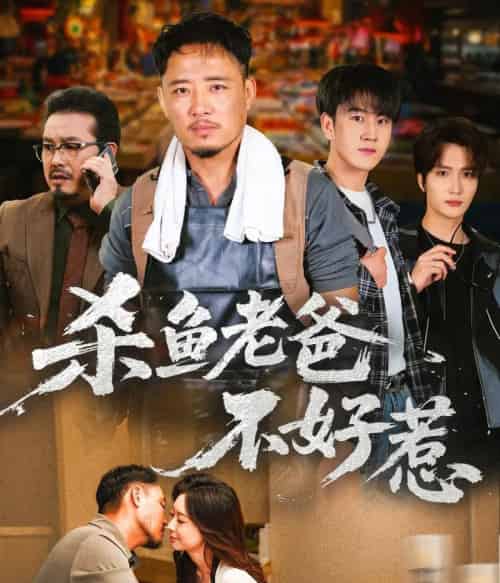 杀鱼老爸不好惹(66集全)孙启鑫&韩雯琪-初遇资源网