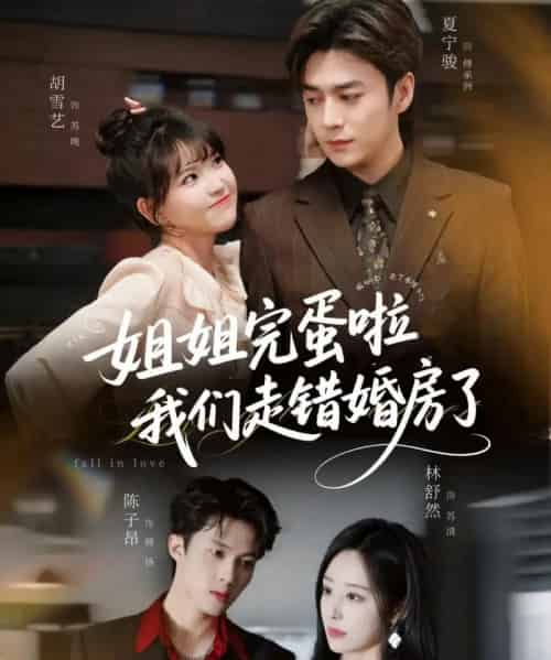 姐姐完蛋啦我们走错婚房了（97集全）夏宁骏＆胡雪艺-初遇资源网