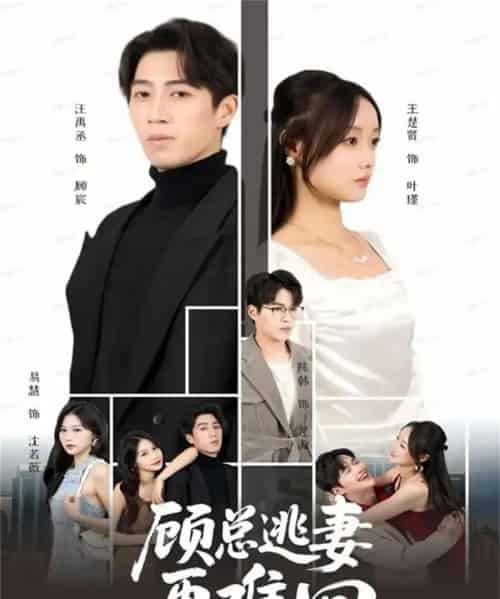 顾总逃妻再难回（60集全）汪禹丞＆王楚贤＆易慧-初遇资源网