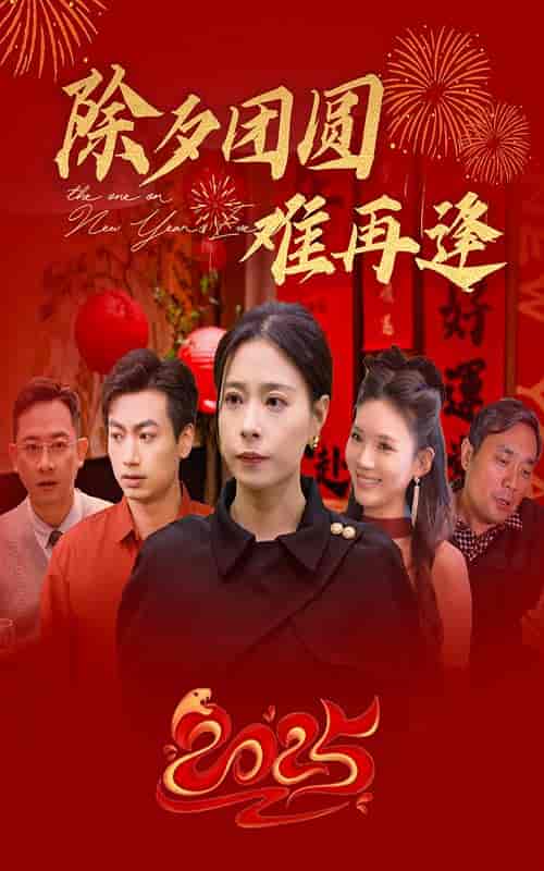 除夕团圆难再逢（54集全）-初遇资源网