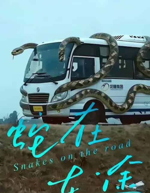 蛇在车途(34集全)何子茜&熊月良-初遇资源网