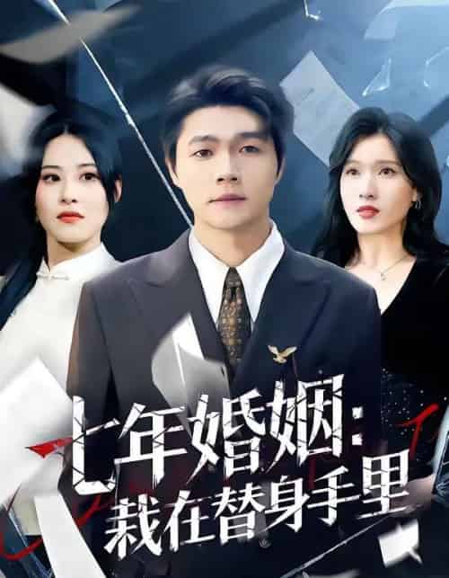 七年婚姻：栽在替身手里（80集全）叶子龙＆张清妍-初遇资源网