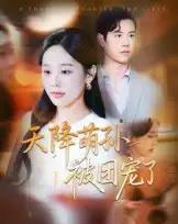 天降萌孙被团宠了(60集全)文力&庄汐玥-初遇资源网