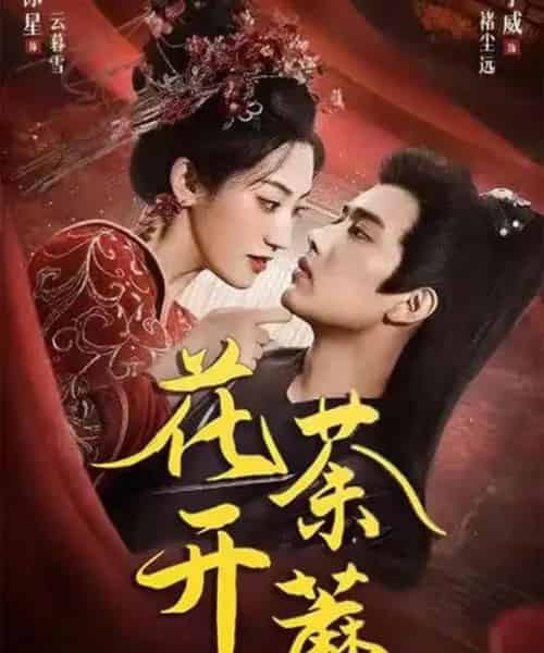 花开荼蘼（88集全）王宇威＆王冰星-初遇资源网
