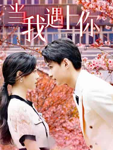 当我遇上你（100集）-初遇资源网