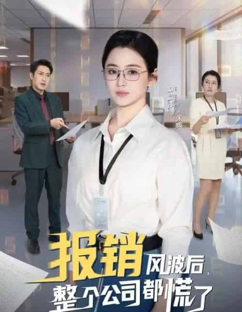 报销风波后，整个公司都慌了（60集全）刘韶袆＆刘晓兵-初遇资源网