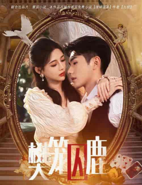 樊笼囚鹿＆偏执大佬的金丝雀（60集全）-初遇资源网