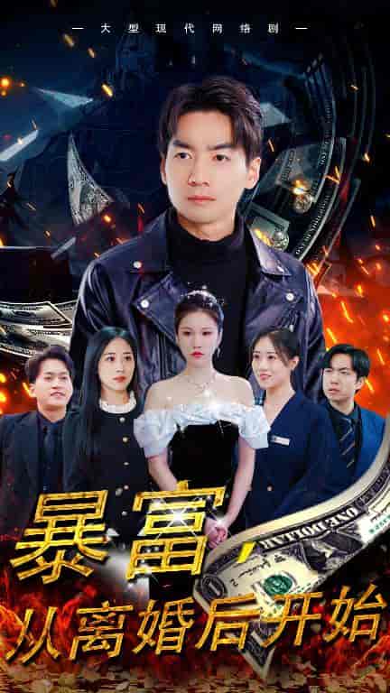 暴富,从离婚后开始(97集)-初遇资源网