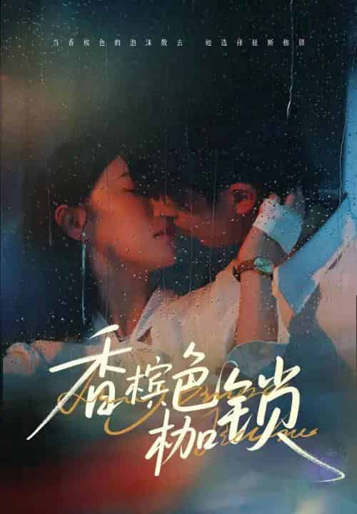 香槟色枷锁(60集)王英杰&于琬丽-初遇资源网