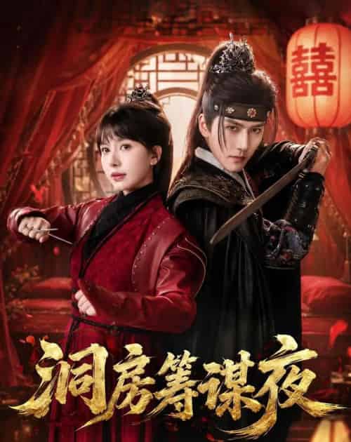 洞房筹谋夜(50集全)袁在峤&蒋开鑫-初遇资源网