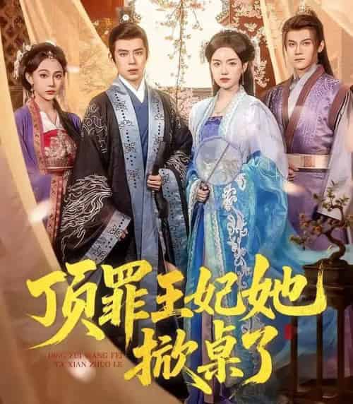 顶罪王妃她掀桌了(90集全)陈墁柯&刘六六-初遇资源网