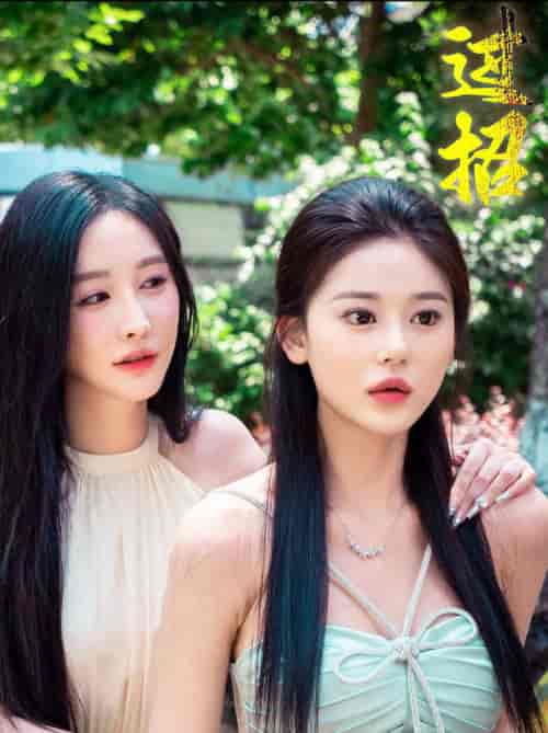 过招（40集全）-初遇资源网