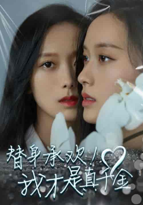替身承欢！我才是真千金（40集全）陆轻舟＆苏锦-初遇资源网