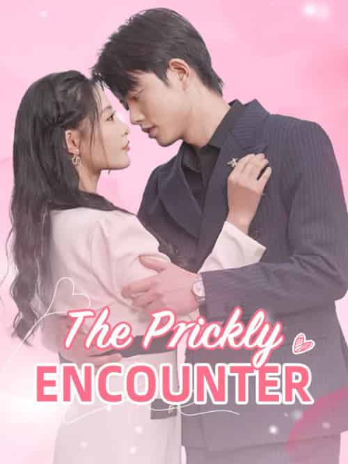 The Prickly Encounter(94集)Sue&Charlton&&Lincoln&Chadwick-初遇资源网