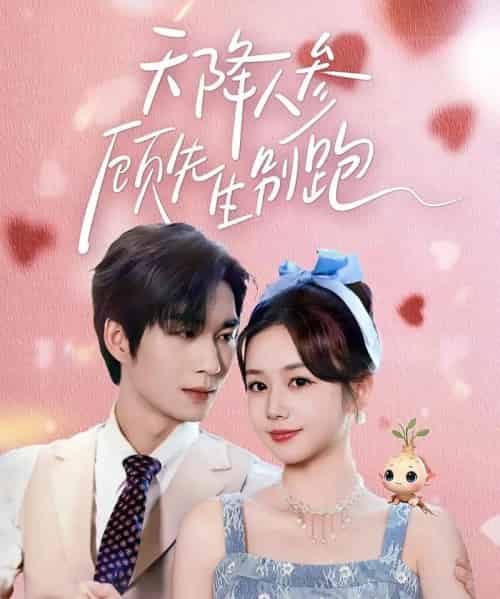 天降人参顾先生别跑（60集全）余弦＆雷馥缦-初遇资源网