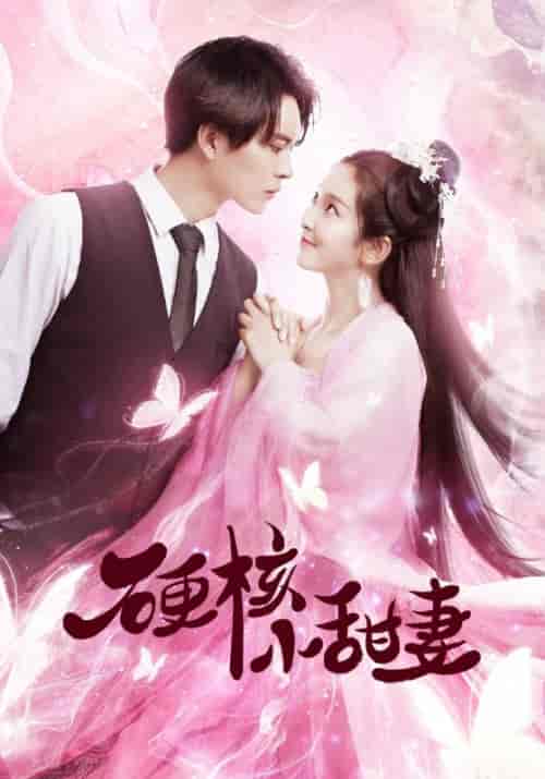 硬核小甜妻(18集全)叶辰&蝶澈-初遇资源网