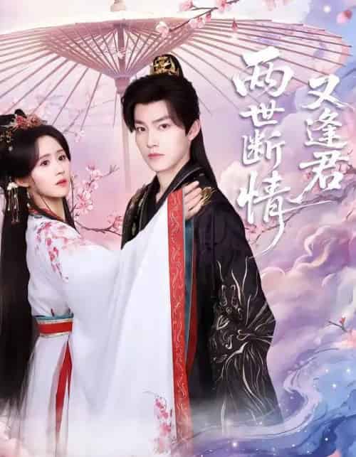 两世断情又逢君（71集全）周凌丰＆书雪漫-初遇资源网