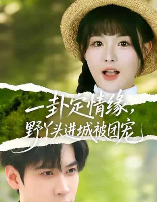 一卦定情缘，野丫头进城被团宠（61集全）胡金池＆杨晨（女）-初遇资源网