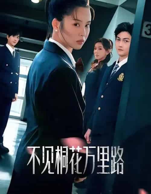 不见桐花万里路（71集全）灵川贝贝＆陈凯洲-初遇资源网