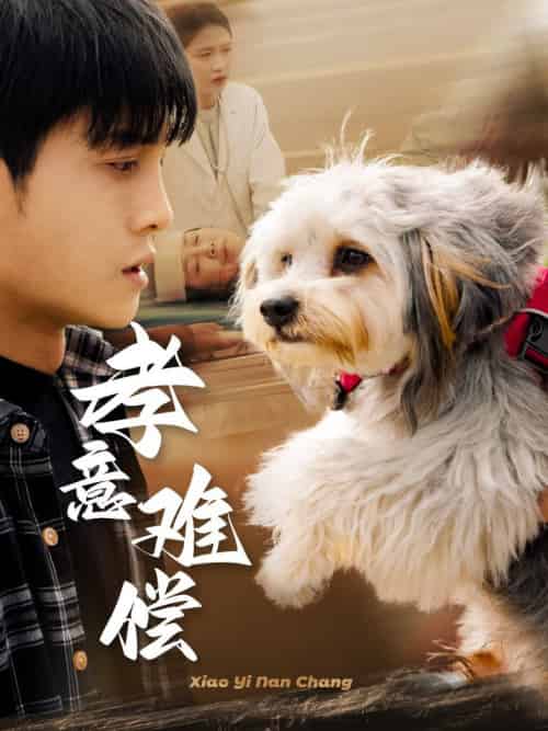 孝意难偿（32集全）-初遇资源网