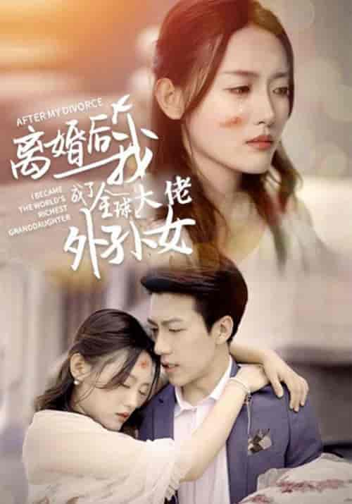 离婚后我成了全球大佬的外孙女（101集全）霍靳城＆黎歌-初遇资源网
