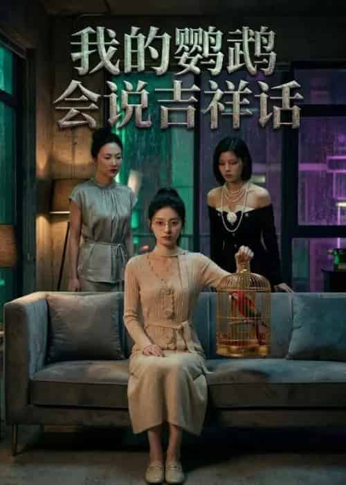 我的鹦鹉会说吉祥话 我的鹦鹉会说吉祥话