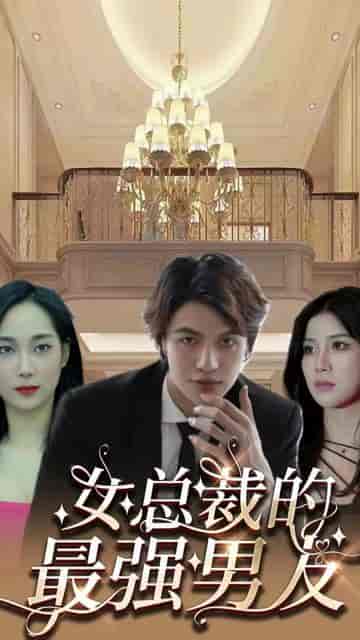 风雪满江红＆女总裁的上门女婿（104集）-初遇资源网