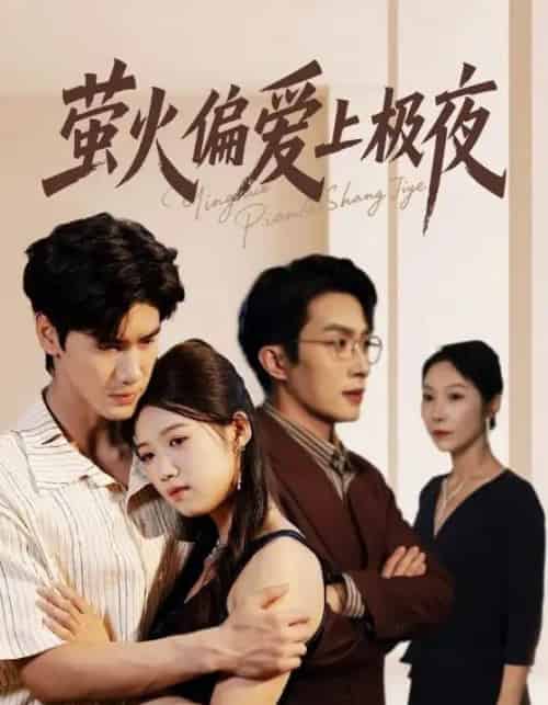 萤火偏爱上极夜（71集全）叶庭＆高洁慧-初遇资源网