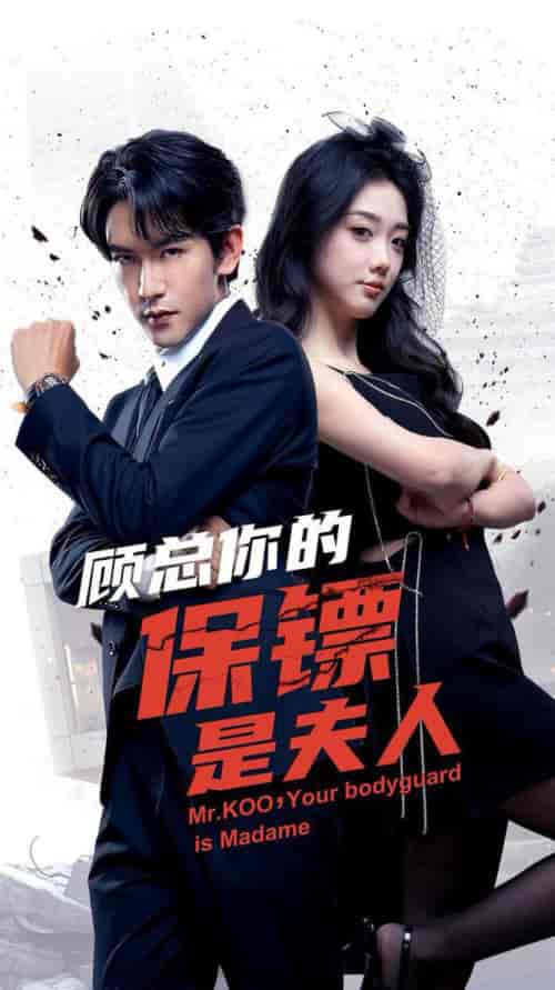 顾总你的保镖是夫人(54集全)沈照程&墨凝-初遇资源网