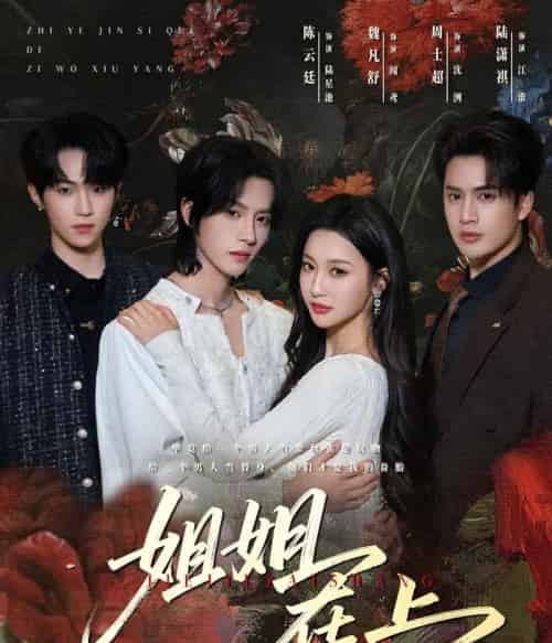 姐姐在上(65集全)陈云廷&魏凡舒-初遇资源网