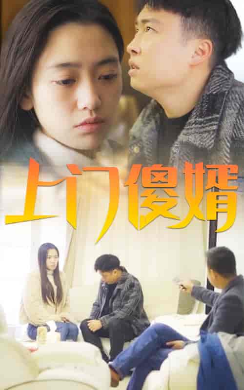 上门傻婿-164-初遇资源网