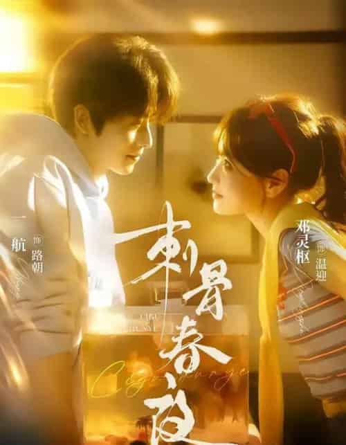 刺骨春夜 刺骨春夜